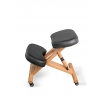 Здоровый позвоночник US-MEDICA Zero Mini Здоровый позвоночник US-MEDICA Zero Mini